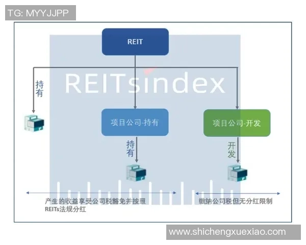 RulerADC职业赛场发展历程与技术风格深度解析