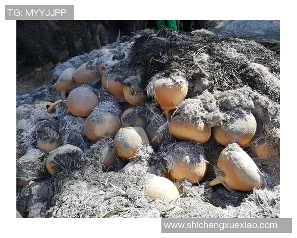 尤文图斯重塑辉煌之路探寻意甲豪门复兴的新篇章