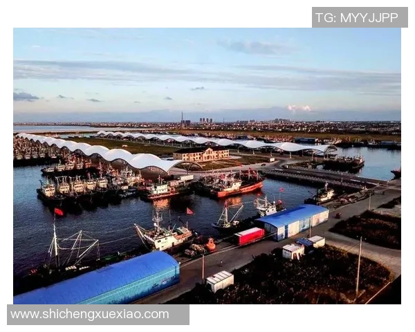 探寻宁波町渥的海港风情与现代产业融合发展之路