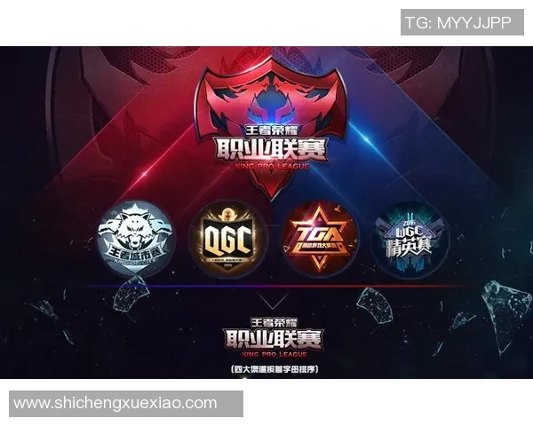 电竞职业联赛发展现状与未来趋势分析:挑战与机遇并存的行业前景 电竞职业联赛发展现状与未来趋势分析:挑战与机遇并存的行业前景