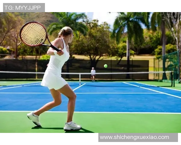 网球运动的魅力与挑战：从基础技巧到世界顶级赛事的全面探索