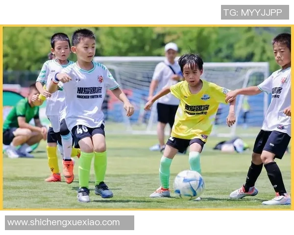 足球竞技的魅力与发展探索：从青训到职业联赛的全方位分析与未来展望