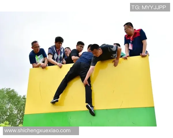 跳水运动的魅力与挑战：从训练技巧到心理素质的全面剖析