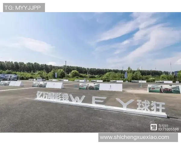 世界杯带动就业机会增加新岗位涌现助力经济发展与社会繁荣 世界杯带动就业机会增加新岗位涌现助力经济发展与社会繁荣